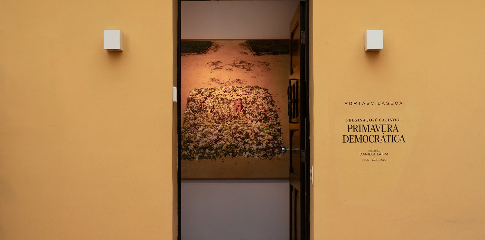 Primavera Democrática